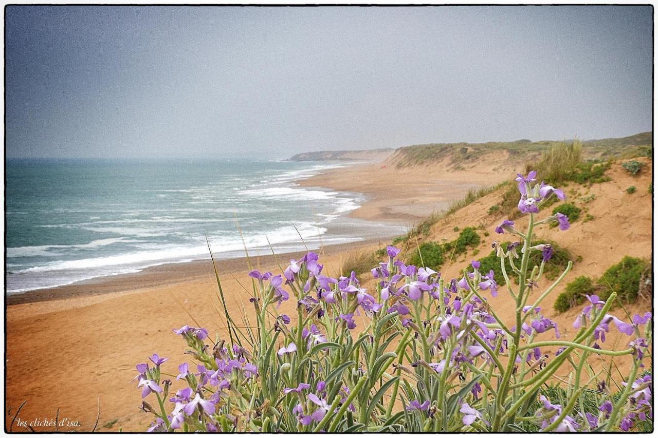 La Calypsette - Face Grande Plage Des Sables D'Olonne Les Sables-dʼOlonne Exteriér fotografie